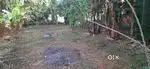 Plot for sale at vengeri