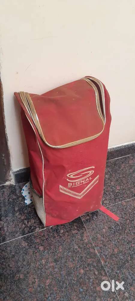 Cricket kit