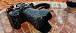 Canon R6 Mark ii