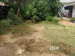 Urgent sale Residential Land 33Centsfor 13lakh Near govt Thaluk hosptl