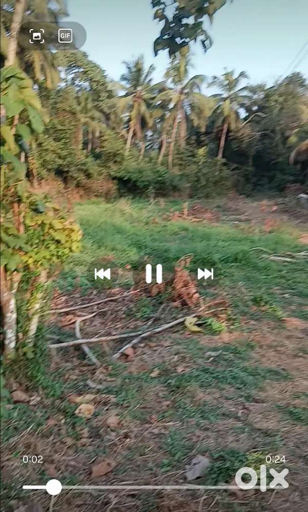 45 CENT RECEDENTOAL FLOT