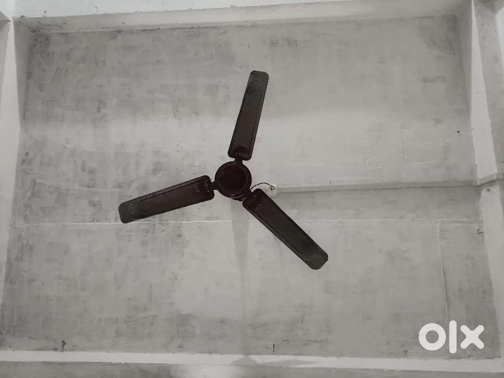 Room share only girl