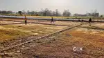 गोरखपुर और कुशीनगर में प्लॉट