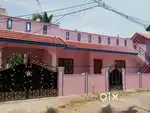 2 bhk individual house for rent