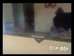 Sharp TV - 40 inch- only PSB repair needed