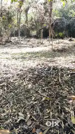 1.5 bigha land in prime location near kalyani highway