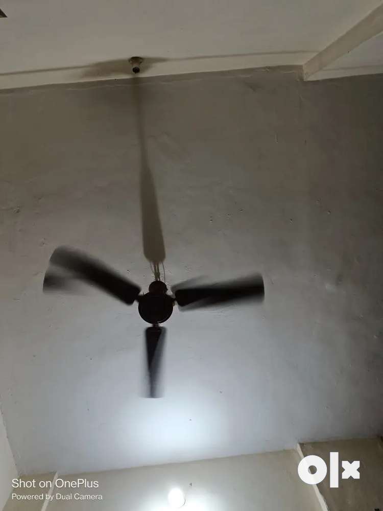 Anchor ceiling fan