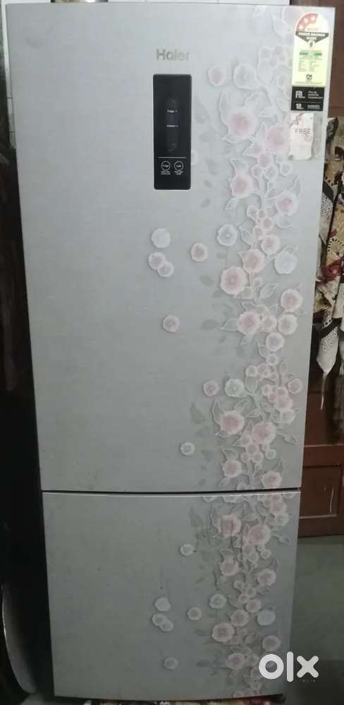 Haier Bottom Mounted Refrigerator