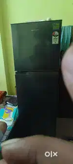 Kalvinter fridge