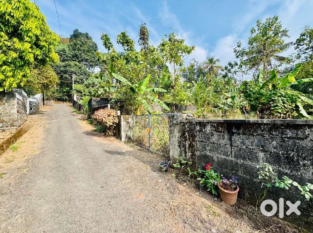 12.5 cent land for sale Kakkanad Navodaya