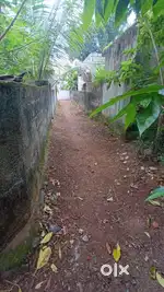 Near southern railway, arikkadamukku,pravachambalam,nemom