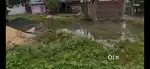 Plot for sell ( पट्टे वाला प्लॉट)