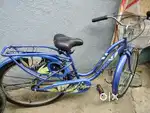 Lady bird cycle