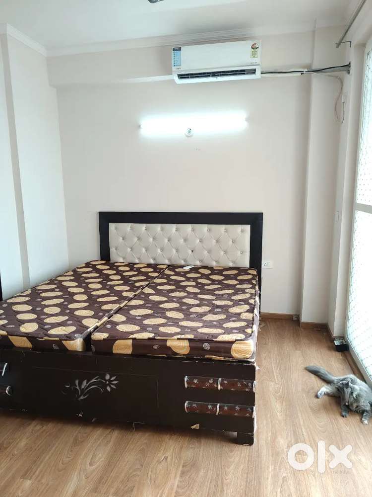 1 seperate room available for rent