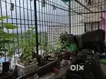 2bhk Flat Garden view Balcony