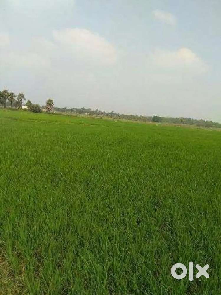 Agriculture Land for sale