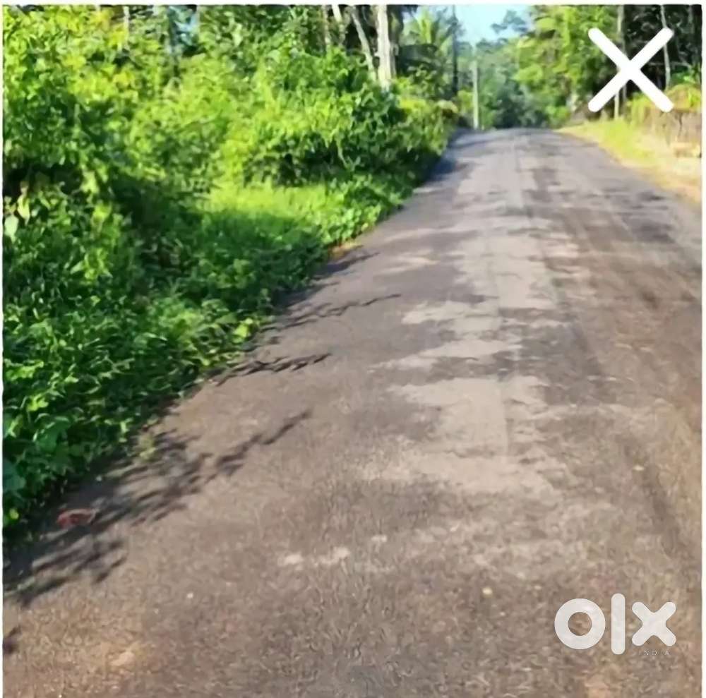 30 cent plot, road side, ₹95000 per cent