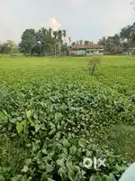 Land for sale at sondha nalbari