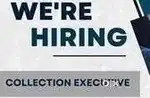 Collection executive