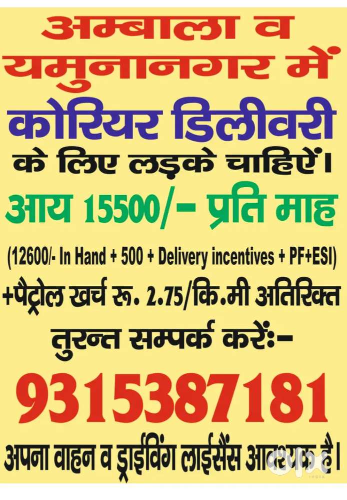 Courier delivery jobs