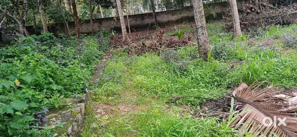 New house plot sale @ St Thomas school near mukkola