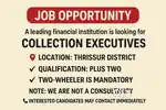 WANTED COLLECTION EXECUTIVES