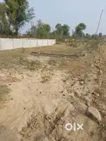 Plot vikau h