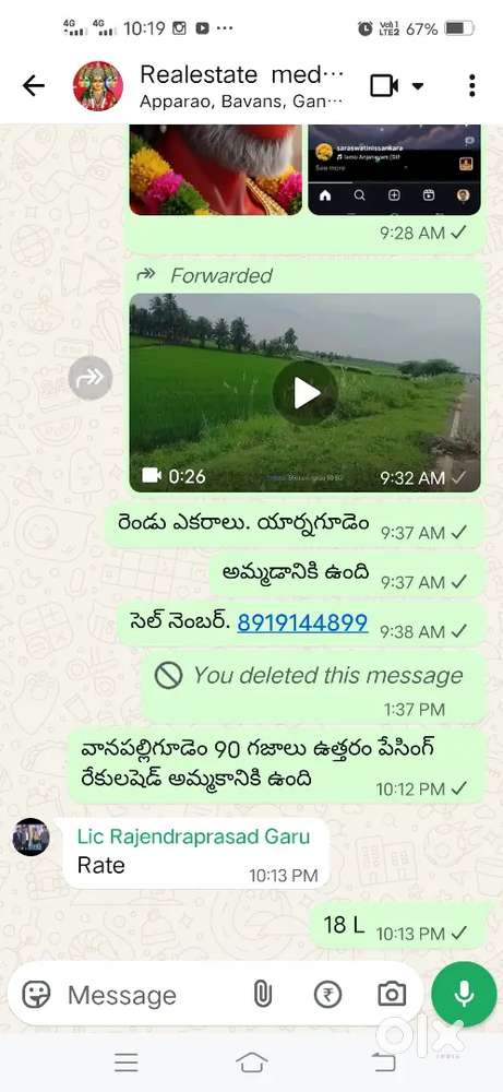 రేకుల షెడ్