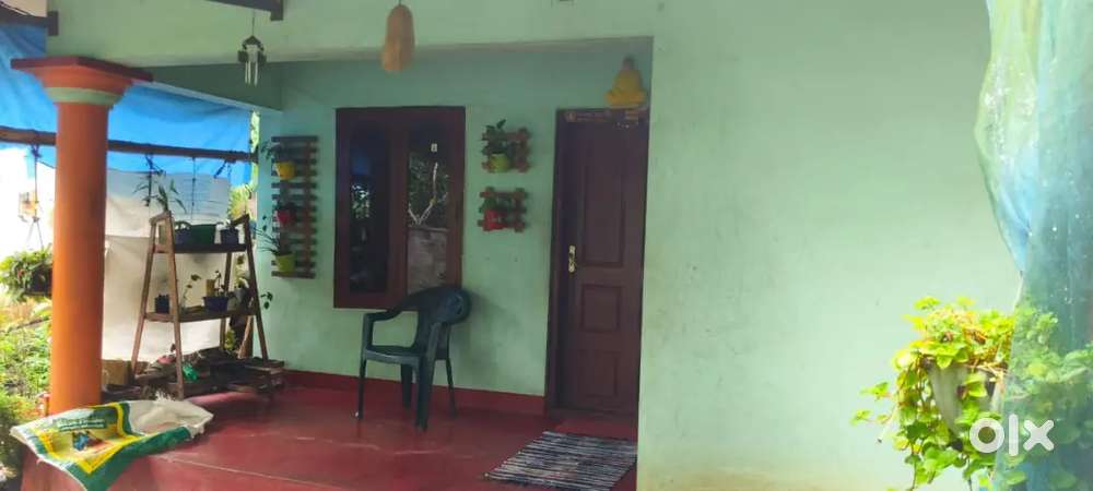 2BHK house in 6 Cent for sale