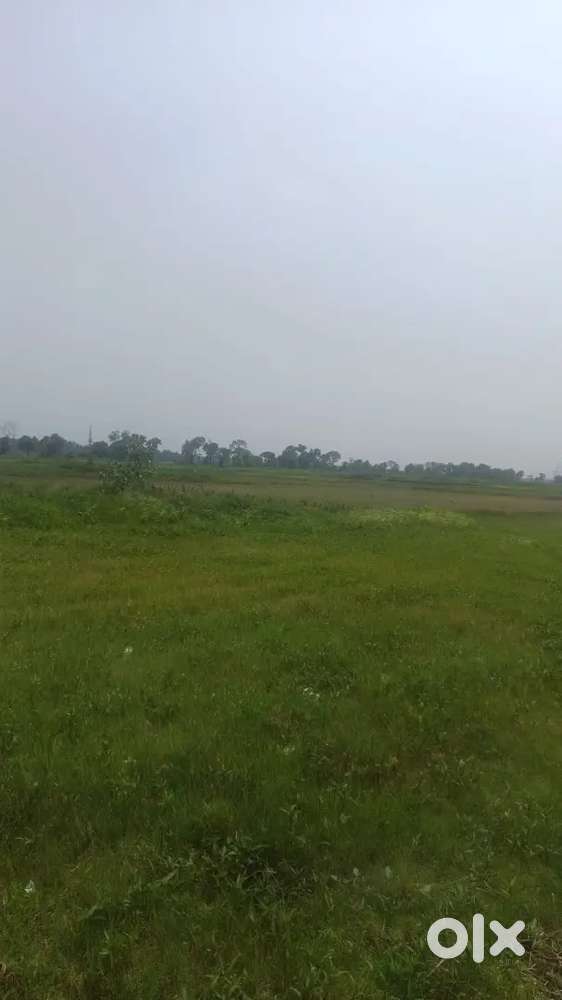 Buy Land with Hope & Growth, Buy 2katha Land with Money back guarantee