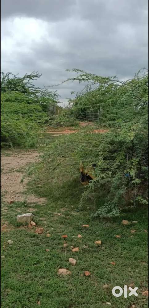 Low budget,KLD Road ,East Face Open Plot Kurukunta