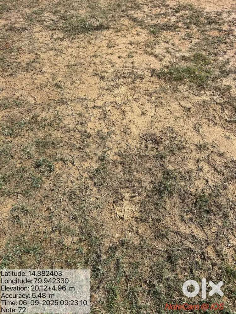 Plot for Sale in Chandrababu Nagar