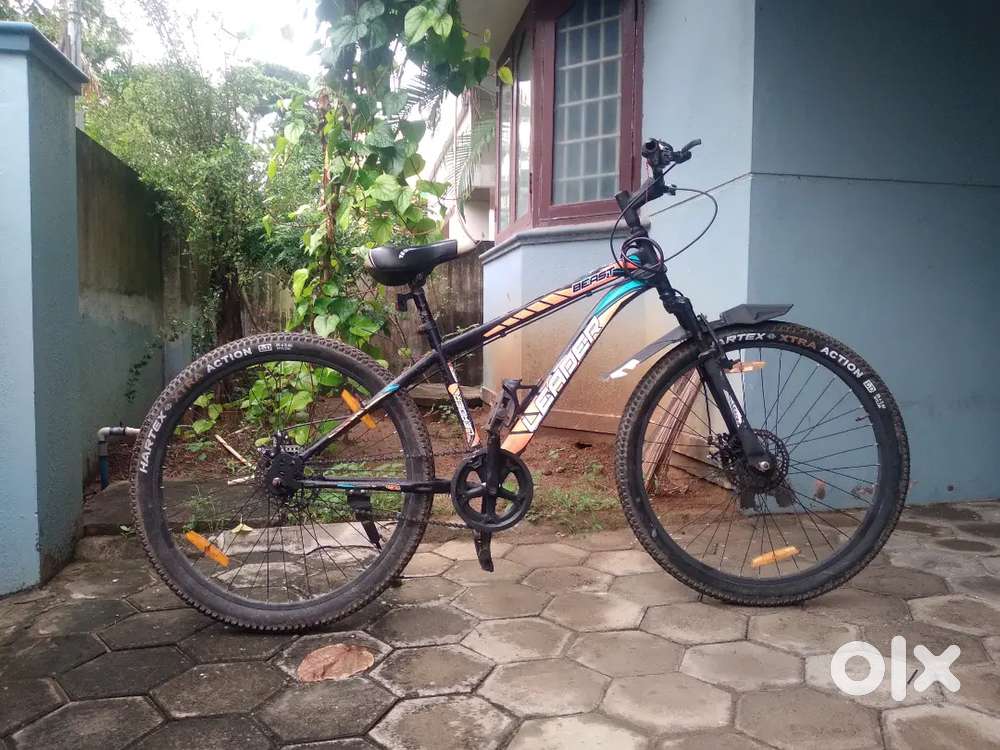Leader disc brake cycle