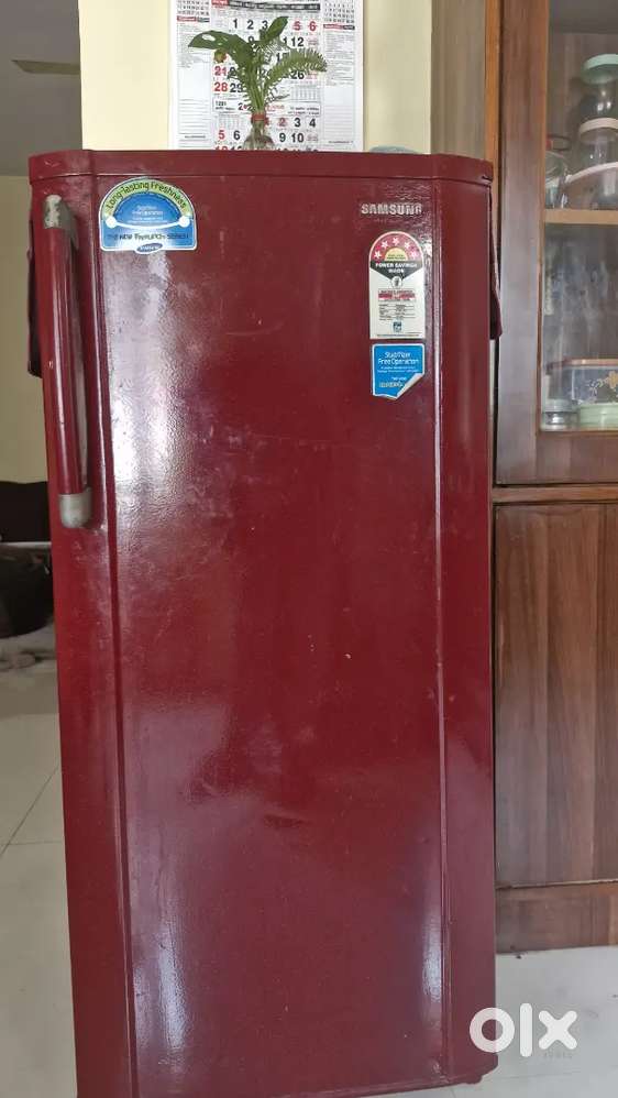 Samsung 5 Star Single door 190 L Refrigerator