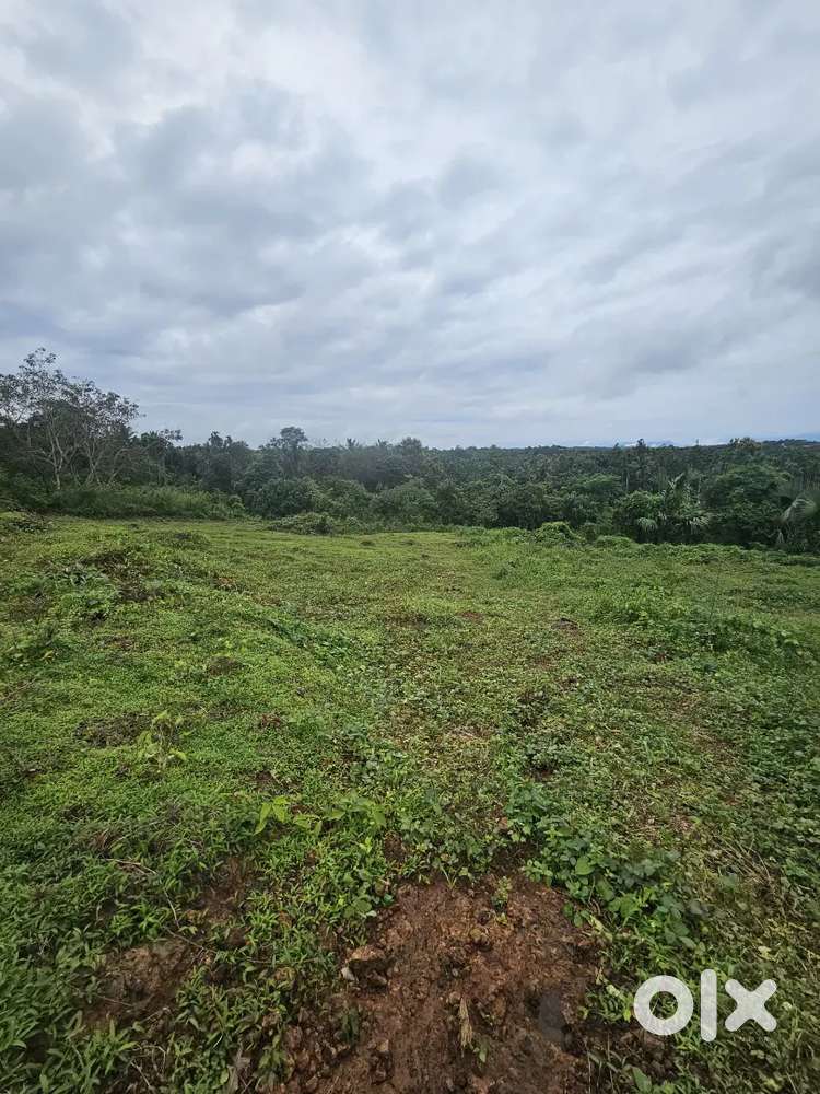 12 cent Housing Plot at vellora kuttur