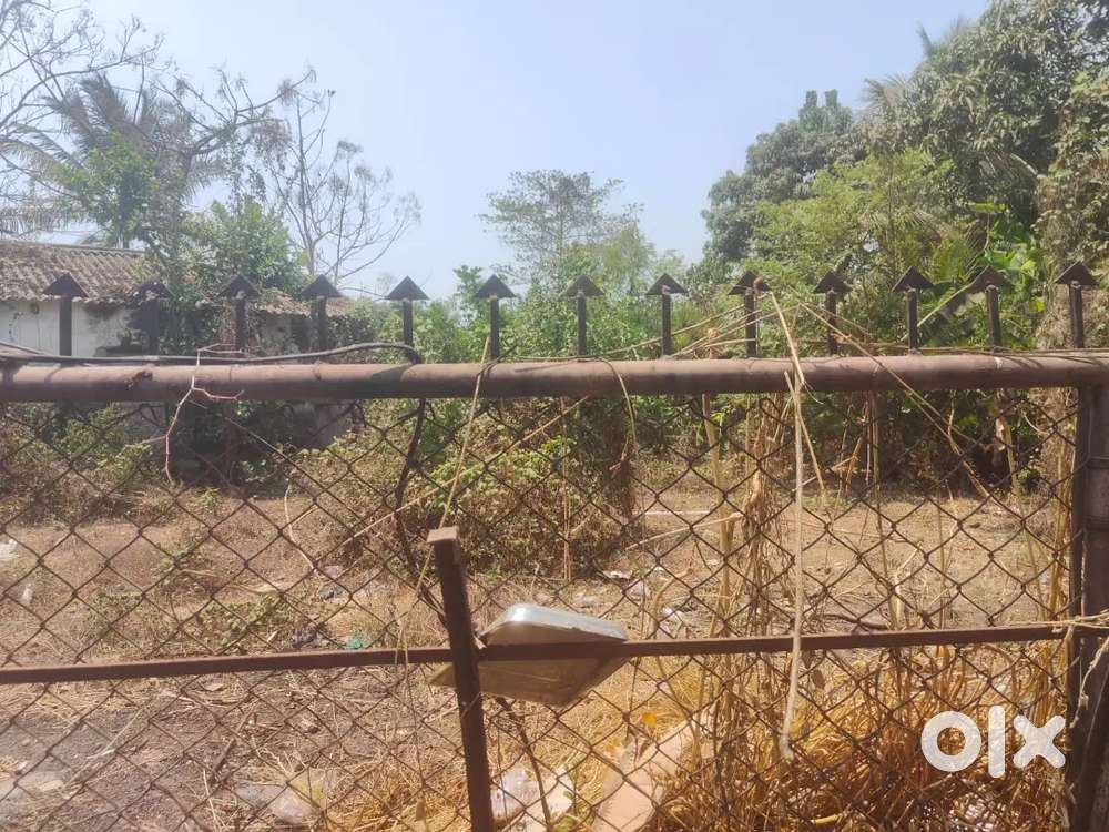 Alibag ( sahan village) vave road , next to sahangothi bypass