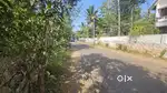 Puliyanam Prime Land for Sale! 21 Cent Busroute front land