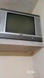 Tv hai TExla campni ka