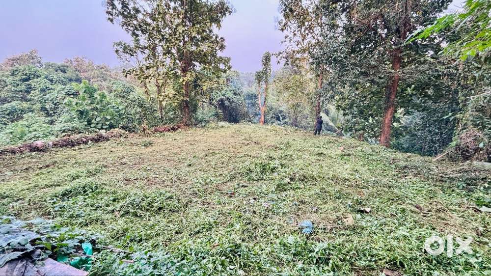 12,000/- Per Sq Plot with Access to Spring water