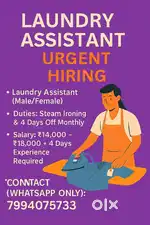 Laundry assistant