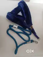 Belt for Dogs - Harness and Leash