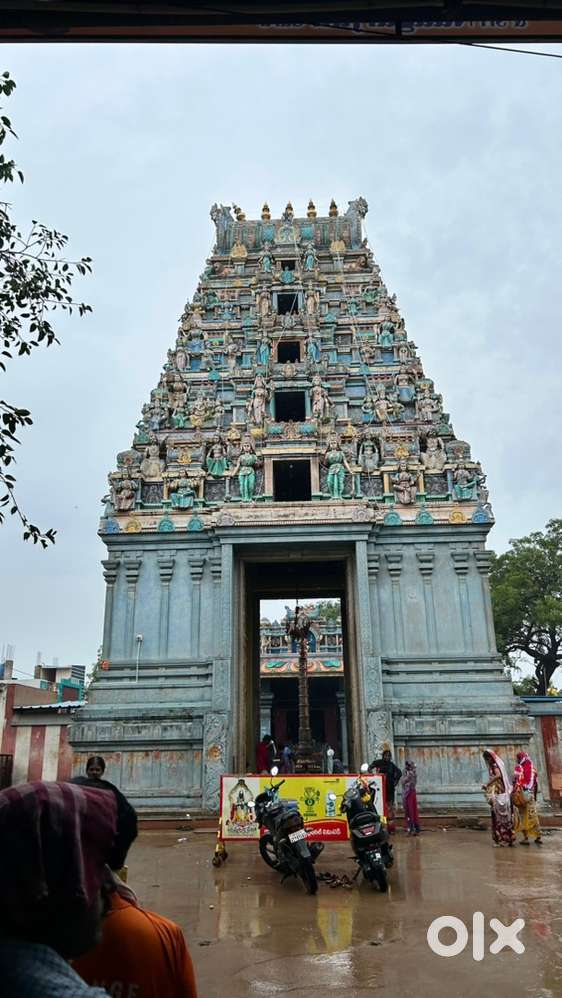 I required job i am not giving the job