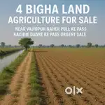 4 bigha agriculture land for sale  15 lk per bigha
