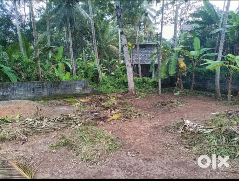 Technopark phase 3: Plot for sale