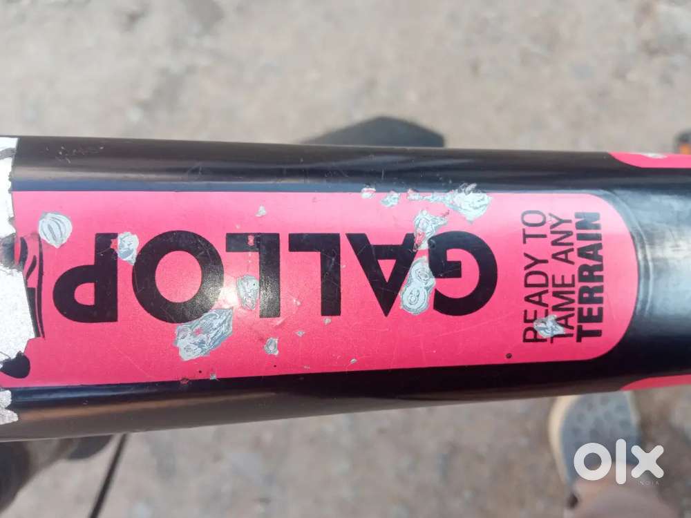 Raleigh cycle best condition cycle