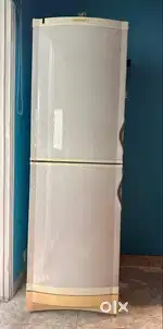 A Double Door Freezer of Vestfrost make with a capacity of approx 400