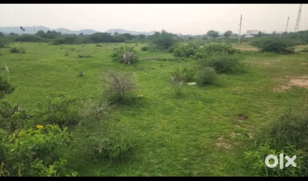 Chance plot at Zamistapur road