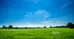 Land in Jamadarpali sambalpur for sale