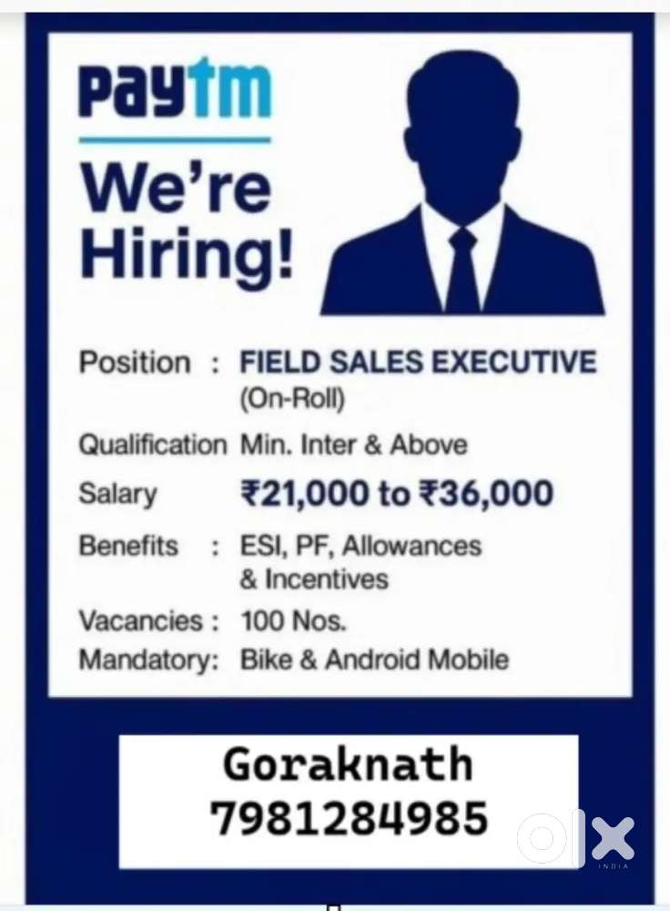 Sales Executive
