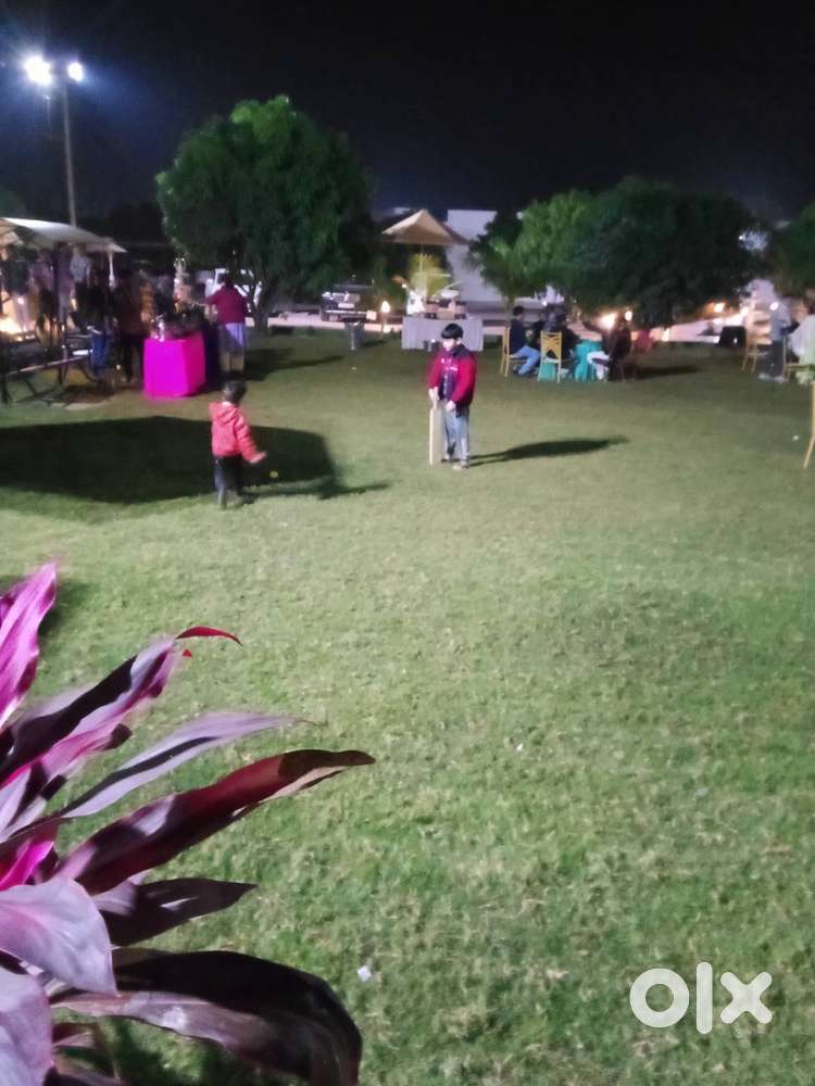 1 bigha Commercial Farm plot